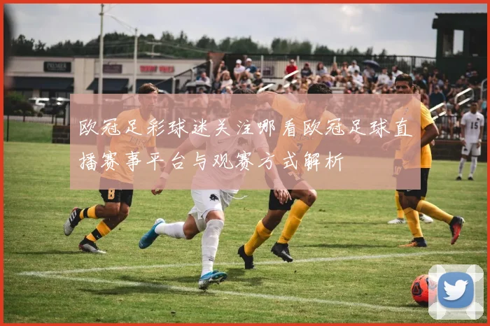 欧冠足彩球迷关注哪看欧冠足球直播赛事平台与观赛方式解析